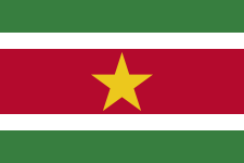 Suriname logo