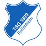 Hoffenheim U19 logo