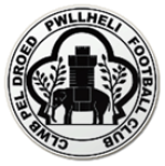 Pwllheli logo