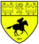 Newmarket Town logo